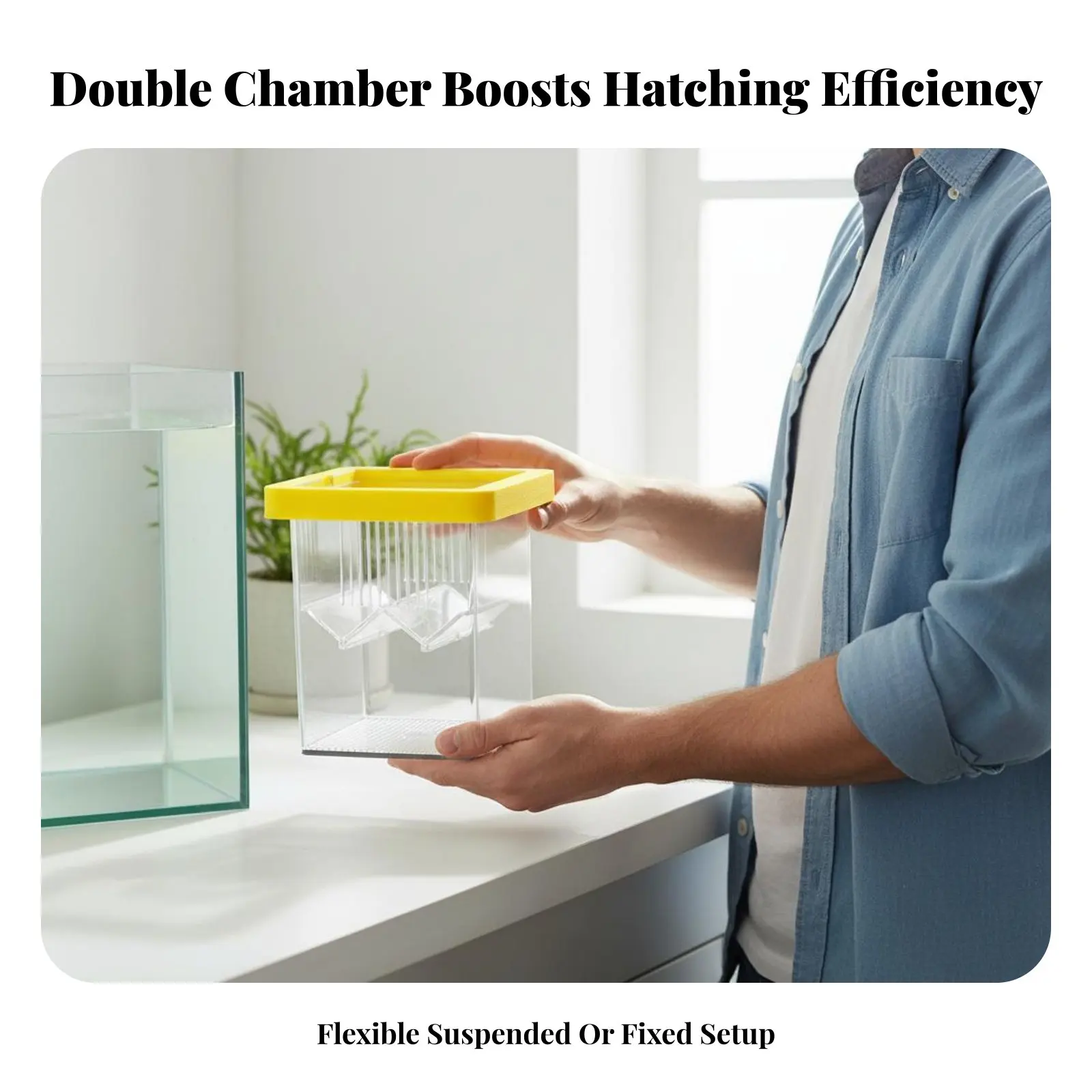 

Buoyant Aquatic Breeding Box High Clearness Acrylic Aquatic Hatchery Aquatic Habitat Breeder Box Space Saving Multifunctional