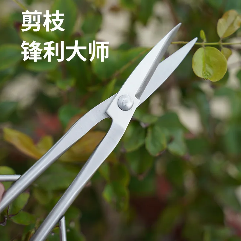 High Quality Silver Gardening Leaf Buds Scissors Hard Durable Sharp Cutting Stainless Steel Flower Bonsai Hand Tool