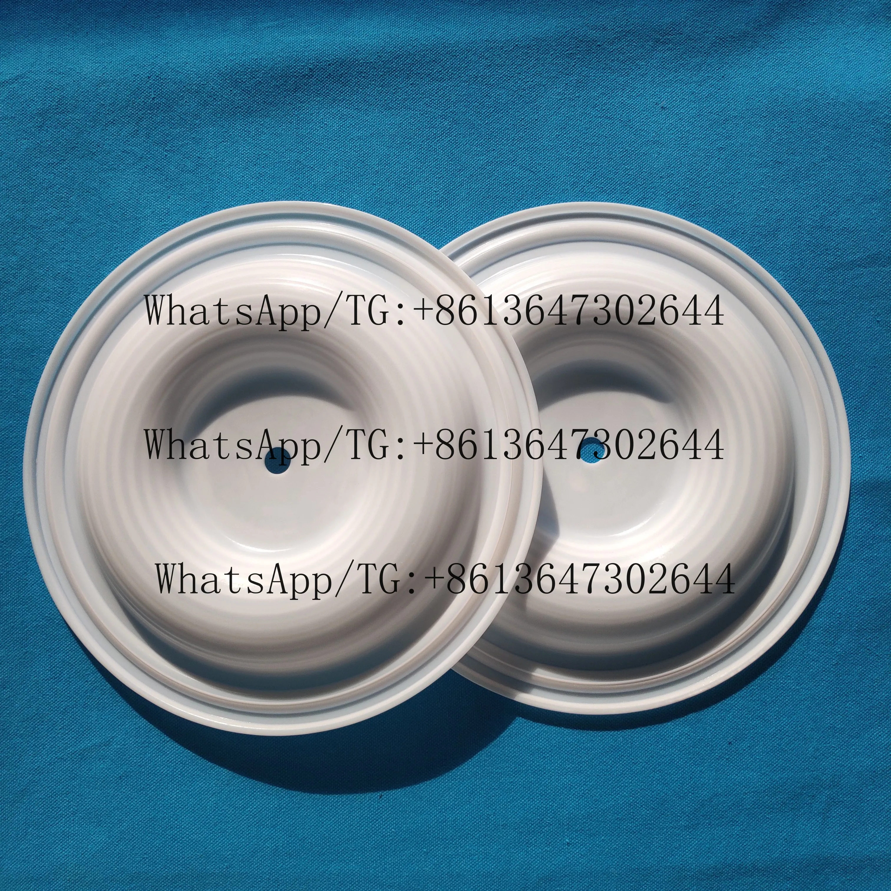 Ptfe Diaphragm CF 04-1010-55/04.1010.55 Diaphragm Manufacture Apply for
