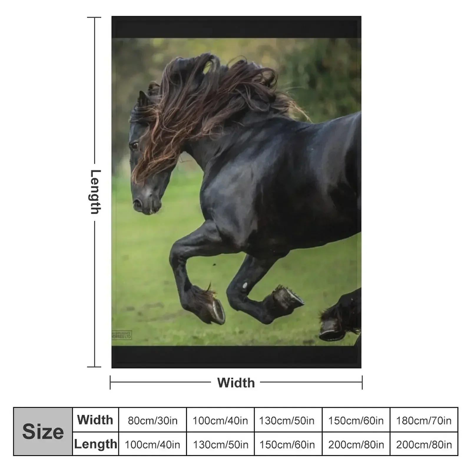 The Friesian Experience - Beautiful Black Beauty Friesian Horses Throw Blanket Nap Travel Blankets
