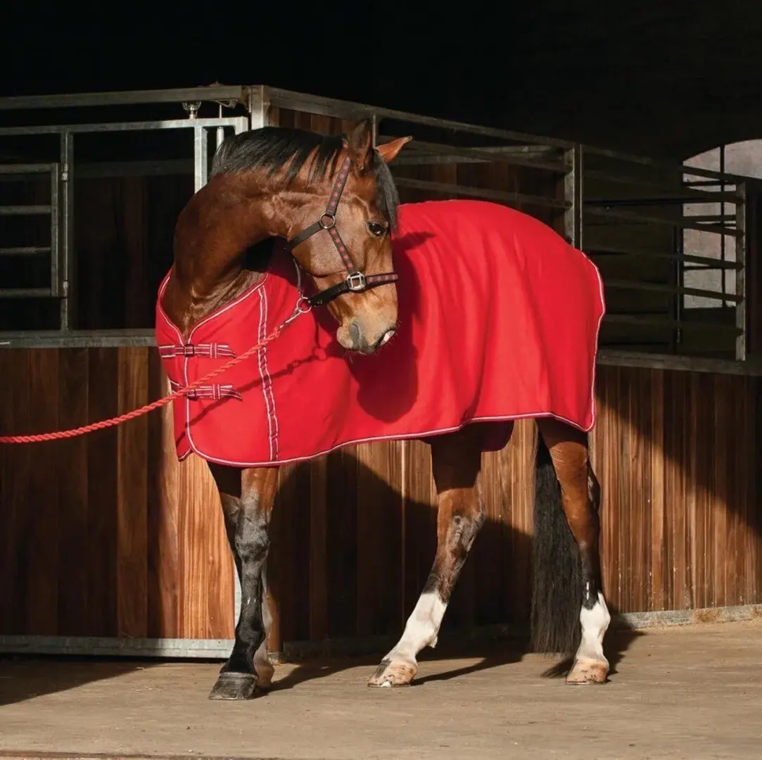 Spring and autumn single-layer fleece horse clothes absorb sweat, keep warm, windproof and cold blankets