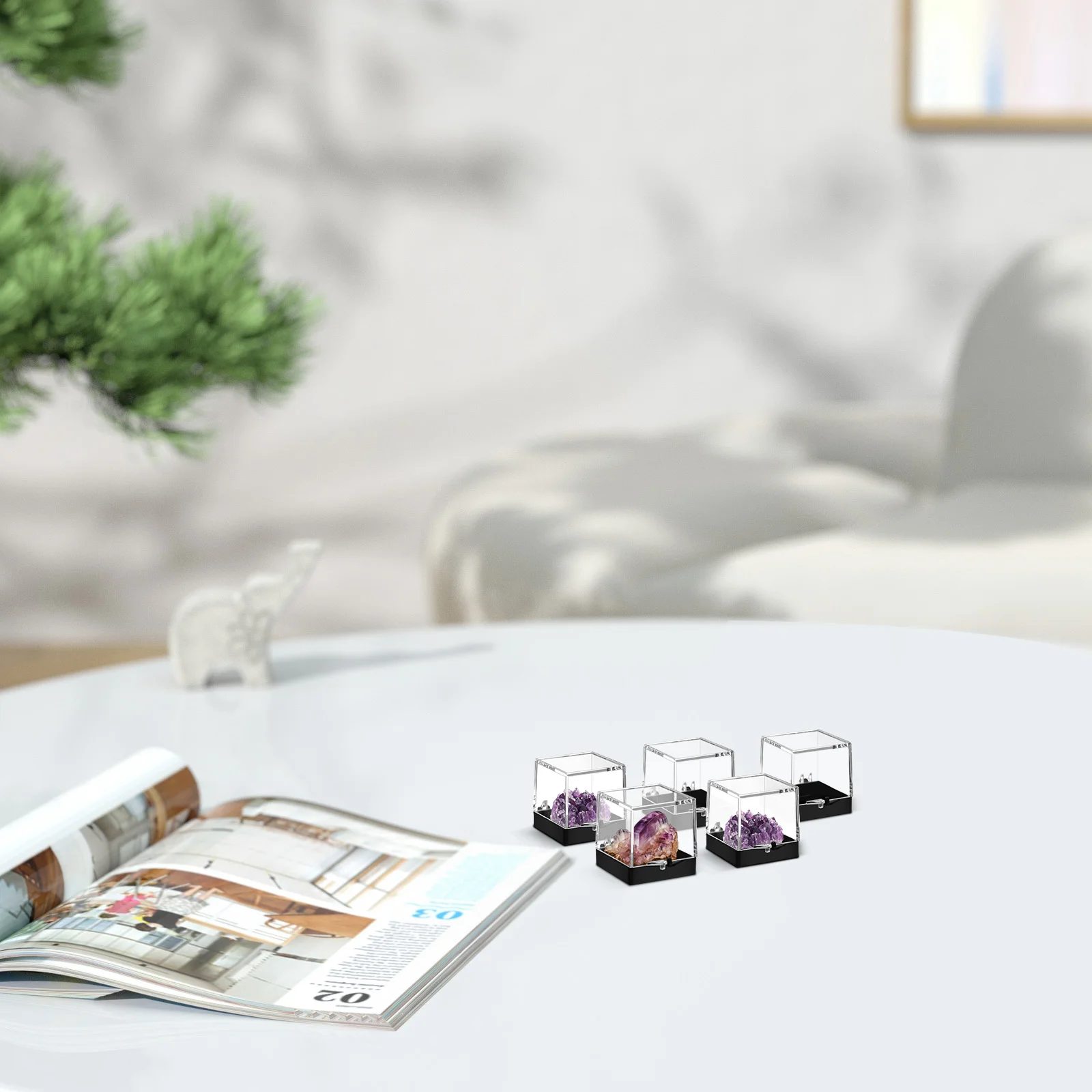 4 Pack Specimen Display Box Transparent Case Foldable Storage Bins Mineral Practical Bracket Square Clear Cases