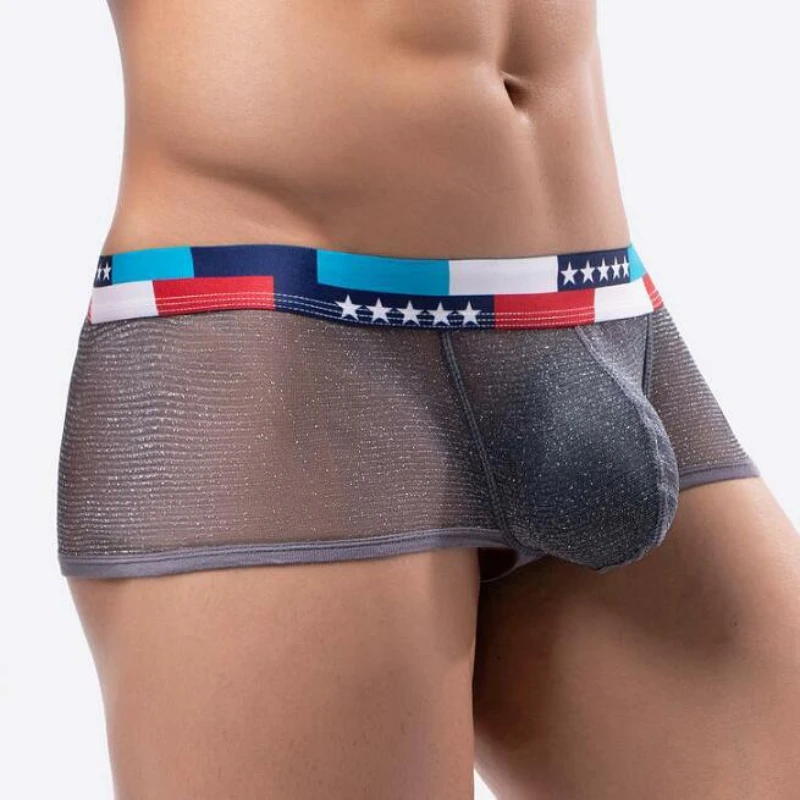 Men 2023 New Mesh Soft Feeling Large Cock Pouch Boxer Underwear Low Waist Lingerie Panties
