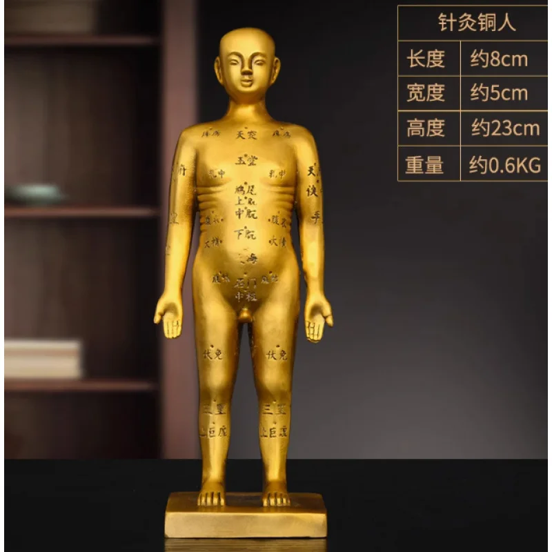 Brass Acupuncture Bronze Mannequin Ornament Pharmacy Desktop Decoration Full Body Acupoint Meridian Human Model Copper Moxibusti