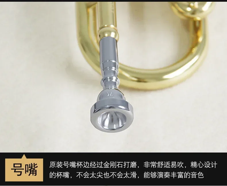 بوق، طلاء B مسطح ذهبي، مبتدئ، أصلي، بوق