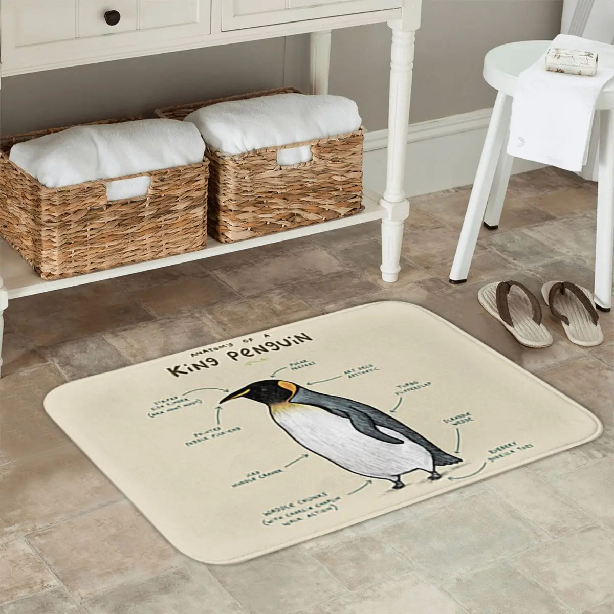 Anatomy Of A King Penguin Doormat Kitchen Entrance Home Floor Mat Anti-slip Carpet Rug for Bathroom Footpad Mats