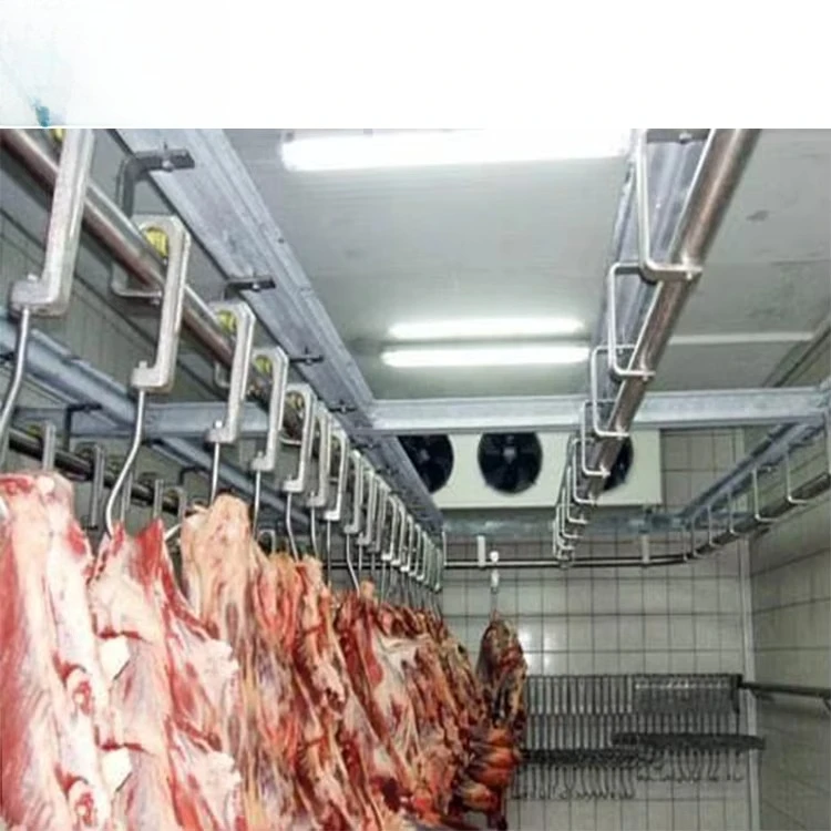 Cammina nella stanza fredda Refrigerazione per riporre il congelatore da 10 a 100 tonnellate Prezzo per carne Pesce Pollo Cipolla Verdura Frutta