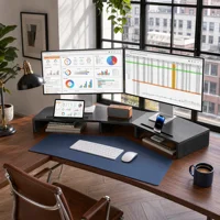 Dual Monitor Stand Riser for 2 Monitors, Monitor Stand for Desk, Adjustable Computer Monitor Stand with 2 Slot, Multifunctional Desktop Organizer Stand for Laptop, PC, Computer, Printer