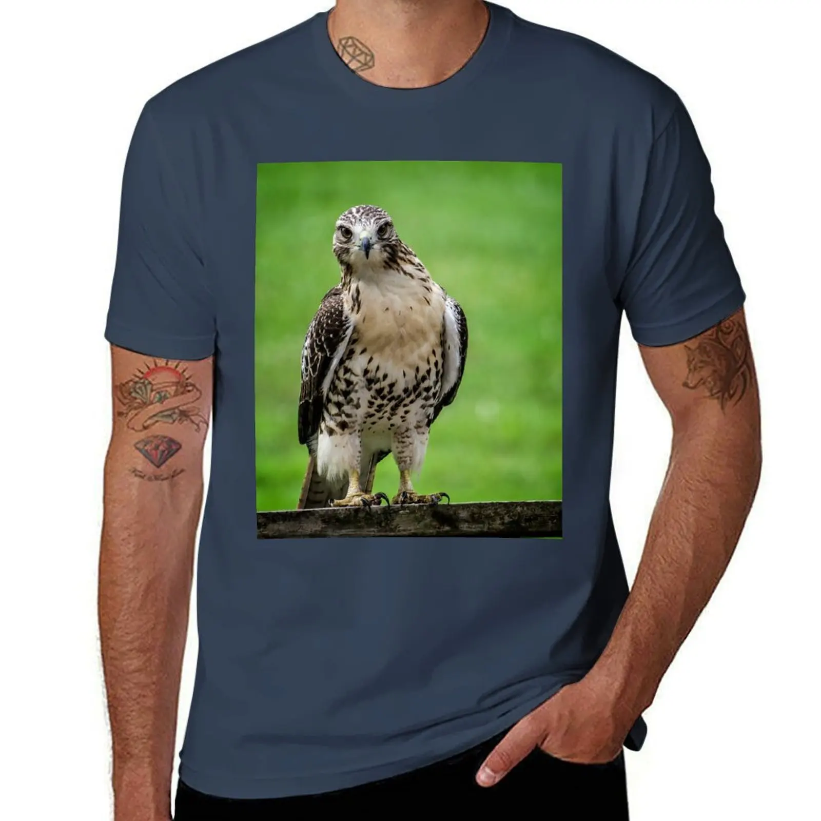 Beautiful Red Tail Hawk On A Railing T-Shirt Sun Block Outdoor T-Shirt