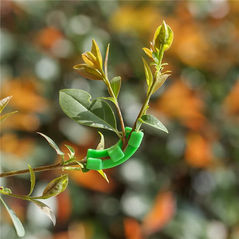

T19C 180 шт. 90-градусный тренажер для растений для тренировок с низким стрессом, гибкие зажимы, зажимы LST для наборов для роста решеток растений