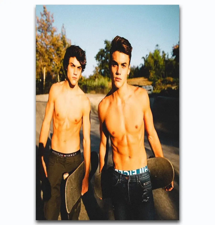 New Dolan Twins Custom Music Group Singer 2-Silk Art Poster Wall Sticker Decoration Gift