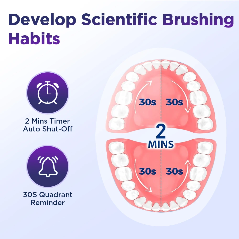 5-Speed Automatic Rotating Vibration Electric Toothbrush for Adults, Universal Soft Smart Toothbrush, Type-C, 4 Toothbrush Heads image 5