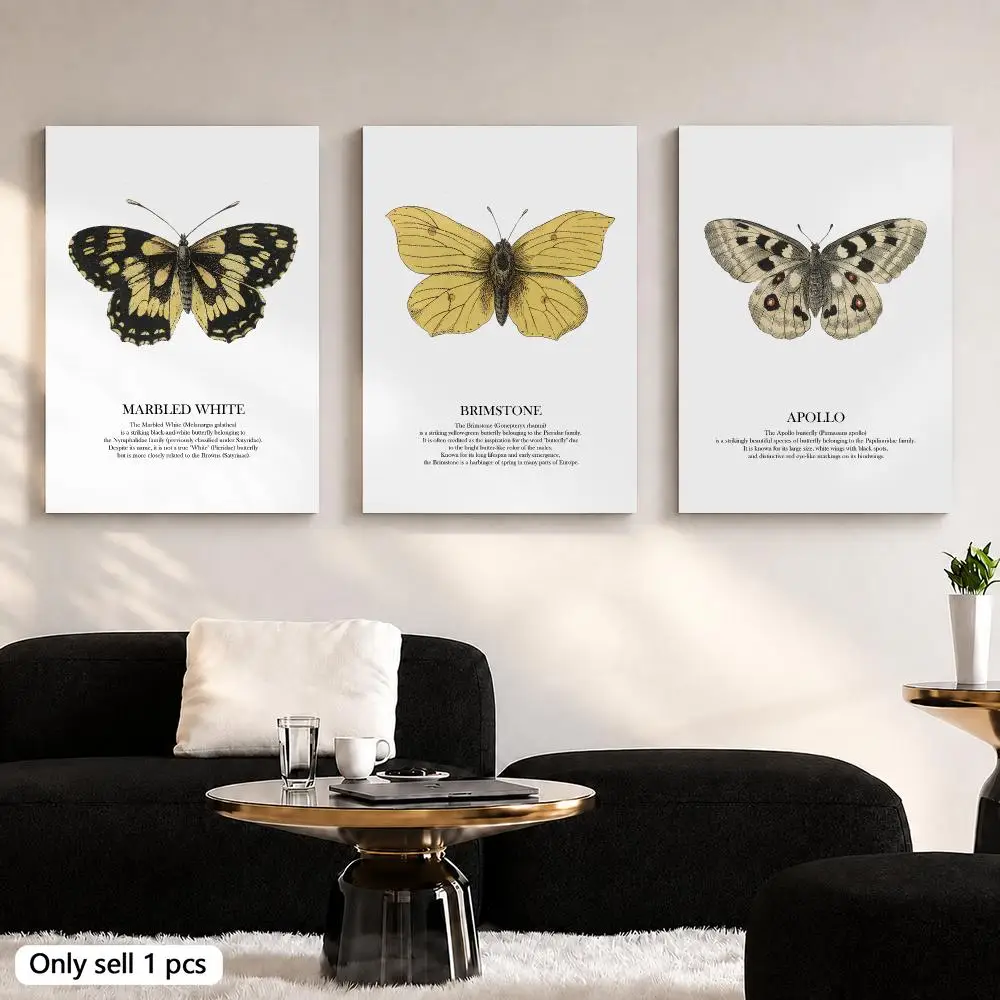 Apollo Red Underwing Moth Various Butterflies Framed Wall Painting Canvas Art Poster Solid Wood Frame for Room Living Home Decor