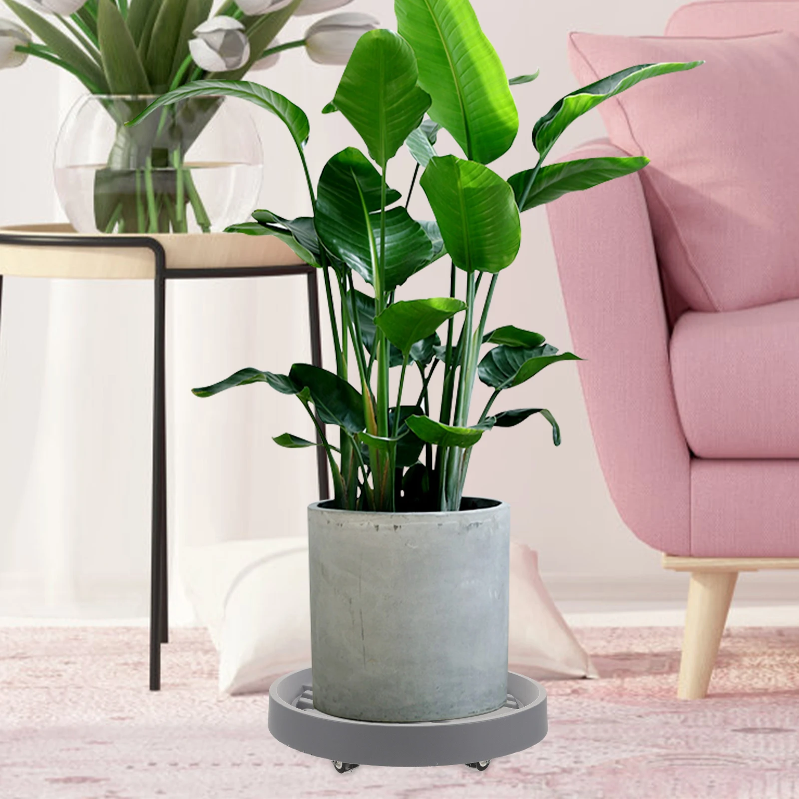 

Caster Flower Pot Base Plant Tray Wheels Gray 22cm Movable Stand Durable Plastic Bonsai Saucer Gardening Holder