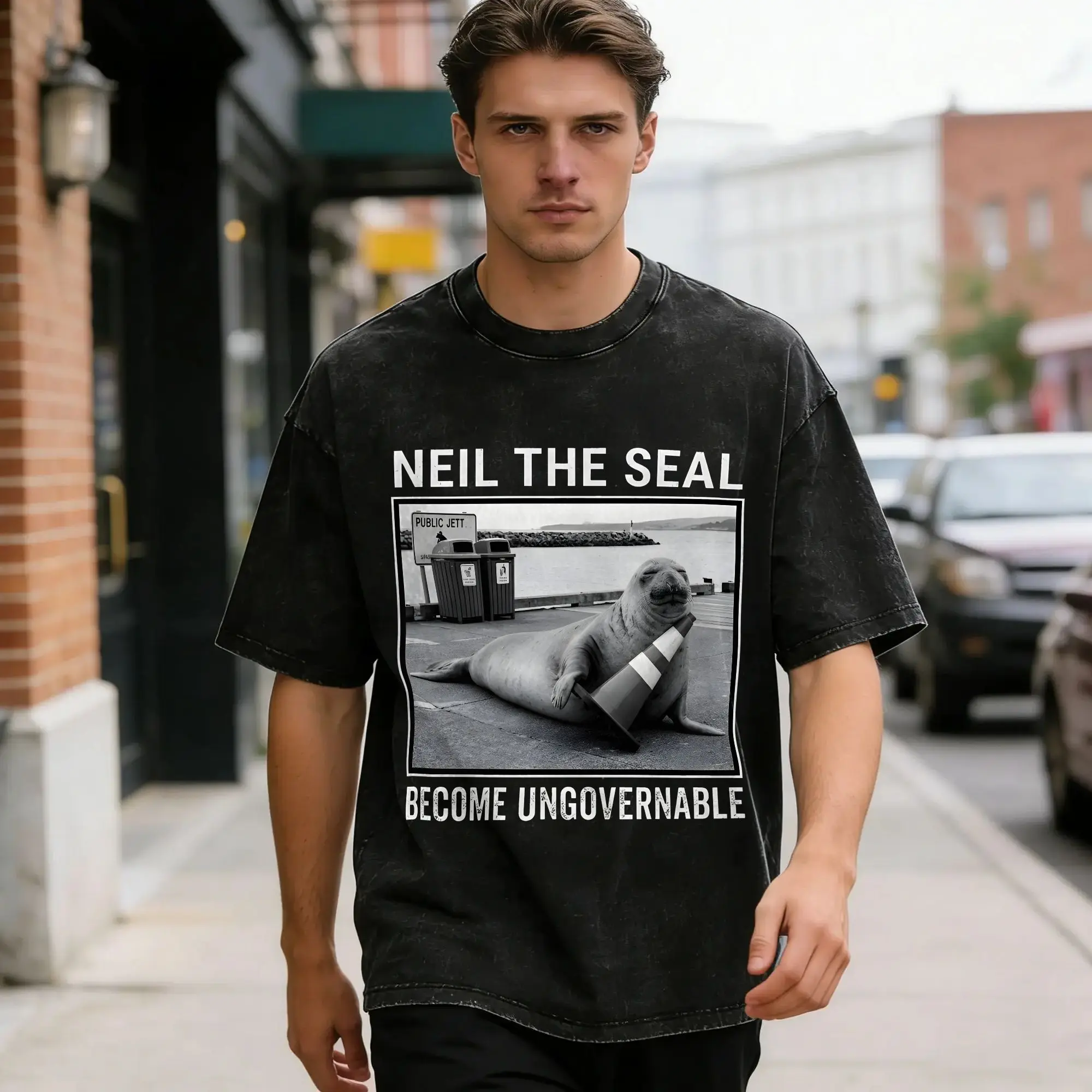 Neil the Seal  Washed T-Shirt Men  Y2K Fun Cotton T-Shirts Summer O Neck Hip Hop Tees Print Plus Size Clothing