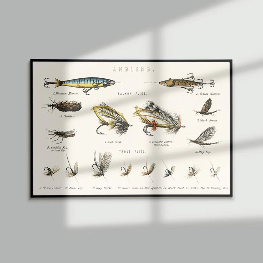 British Fresh Water Fish Angling Baits Antique Illustration Vintage Print Art Poster Animal Canvas Painting Wall Picture Decor