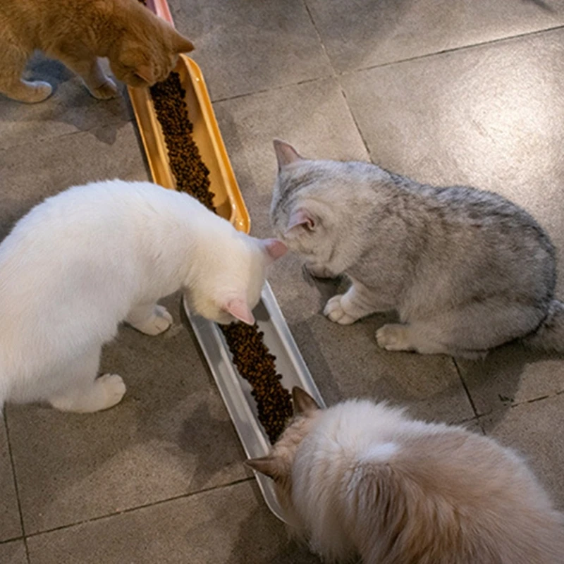 Cat Food Water Bowls 15ยฐ Tilted Single Dish 13.6\