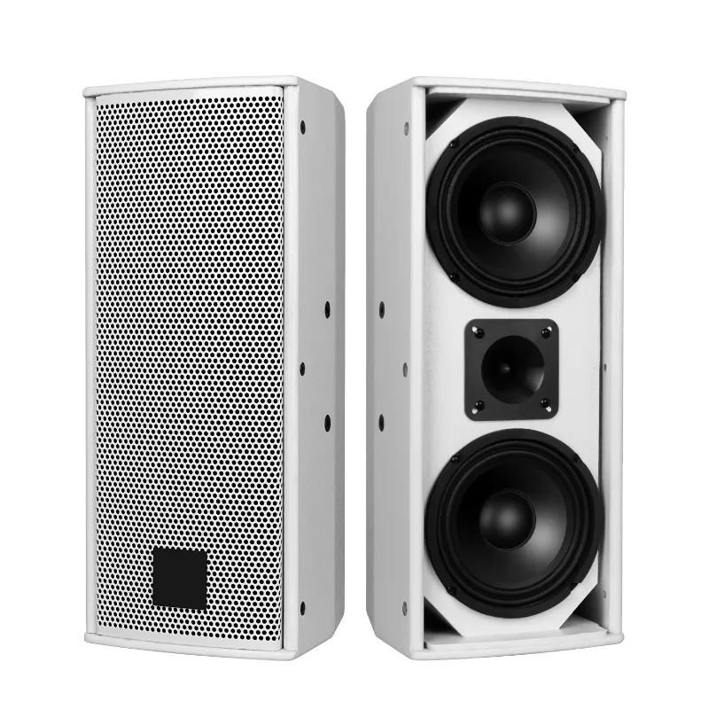 DS6 2 unit professional 110W white column sound system conference equipment