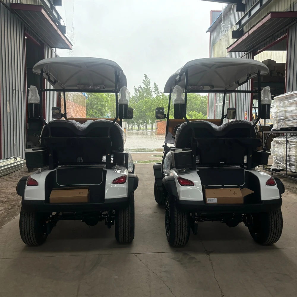الفاخرة عالية الجودة 2 مقعد عربات الغولف الكهربائية الليثيوم فائدة مركبة سيارة الغولف الصيد عربات التي تجرها الدواب #6