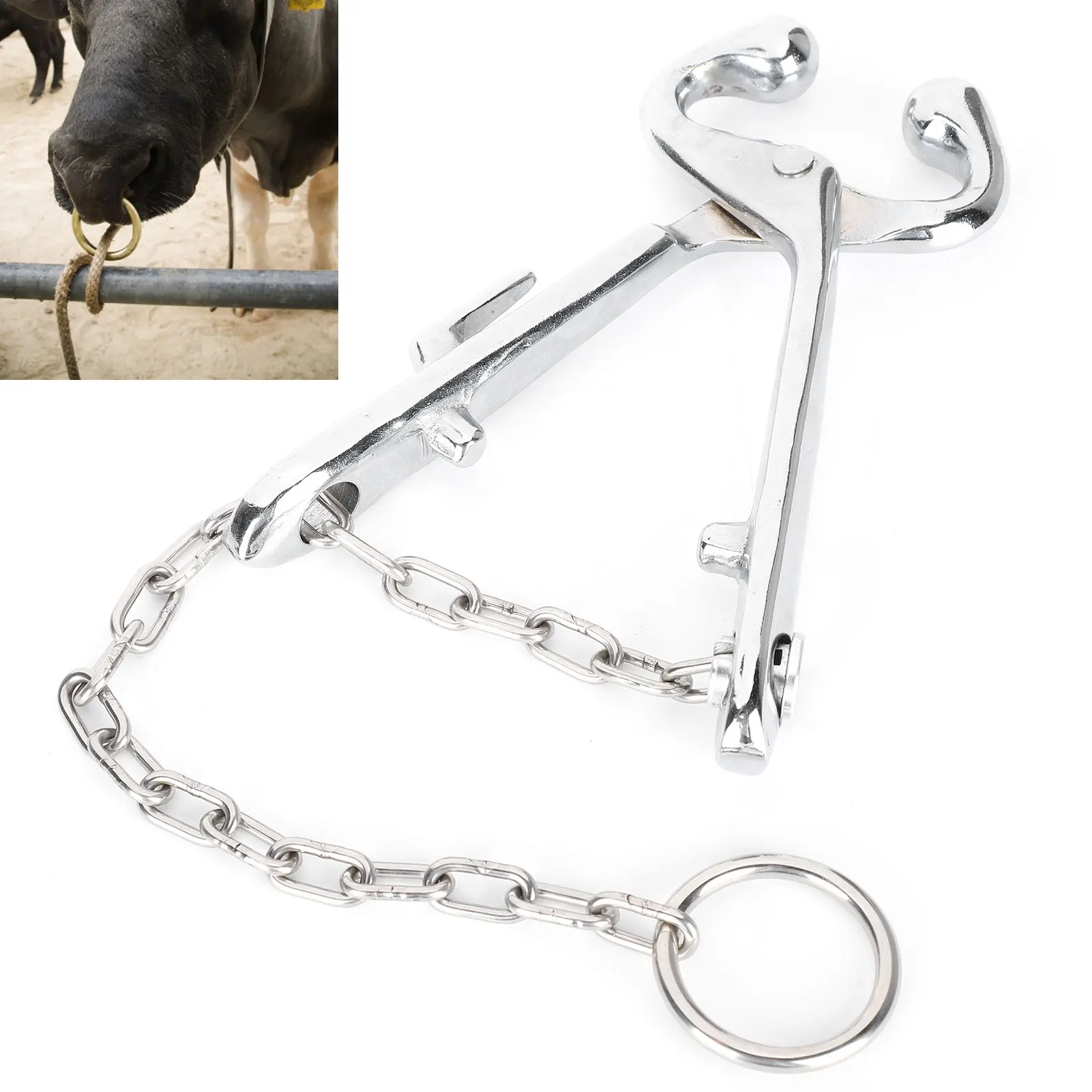 Cow Nose Pliers Stainless Steel Cattle Nose Ring Pliers with Chain Cattles Traction Clamp