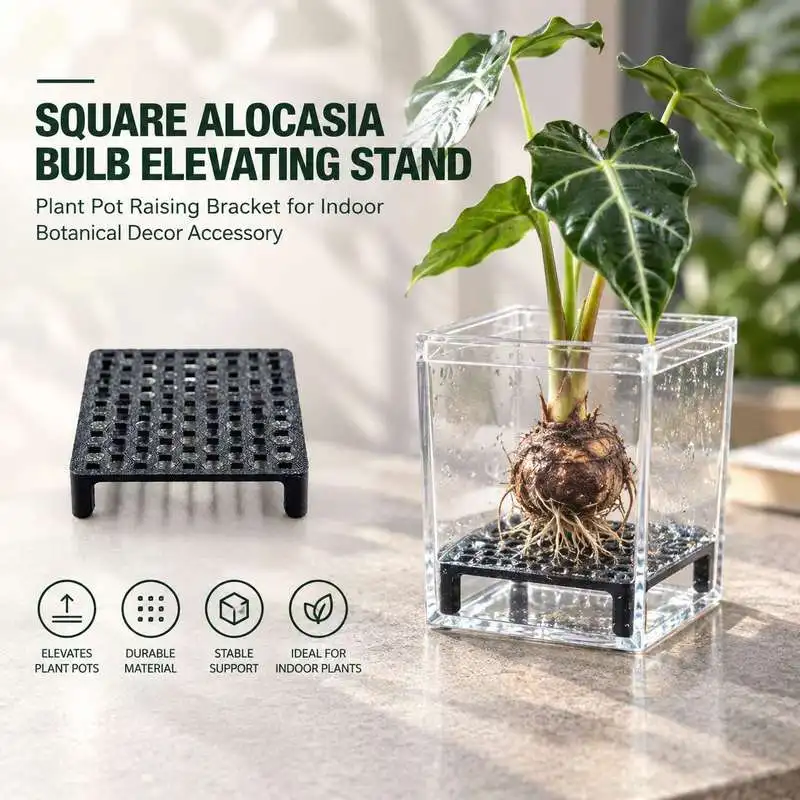 Square Alocasia Bulb Elevating Stand Plant Pot Raising Bracket for Indoor Botanical Decor Accessory