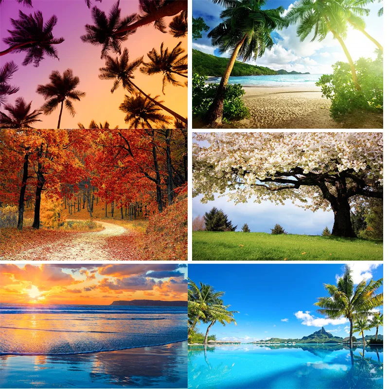 

Resort Coastal Hotel Beach Landscape Photography Backdrops Ocean Coconut Tree Tropical 3D Window Photo Studio Background SS-03