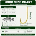 Size 4