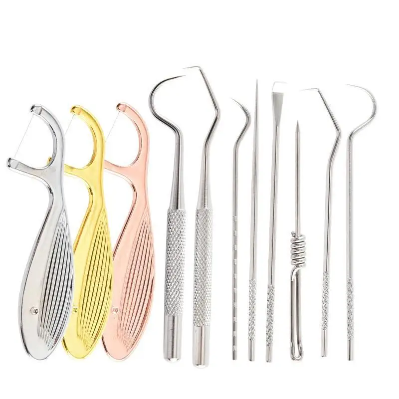 9Pcs Stainless Steel Reusable Toothpick Dental Floss Set Portable Food Grade for Daily Oral Teeth Care Home Travel Use