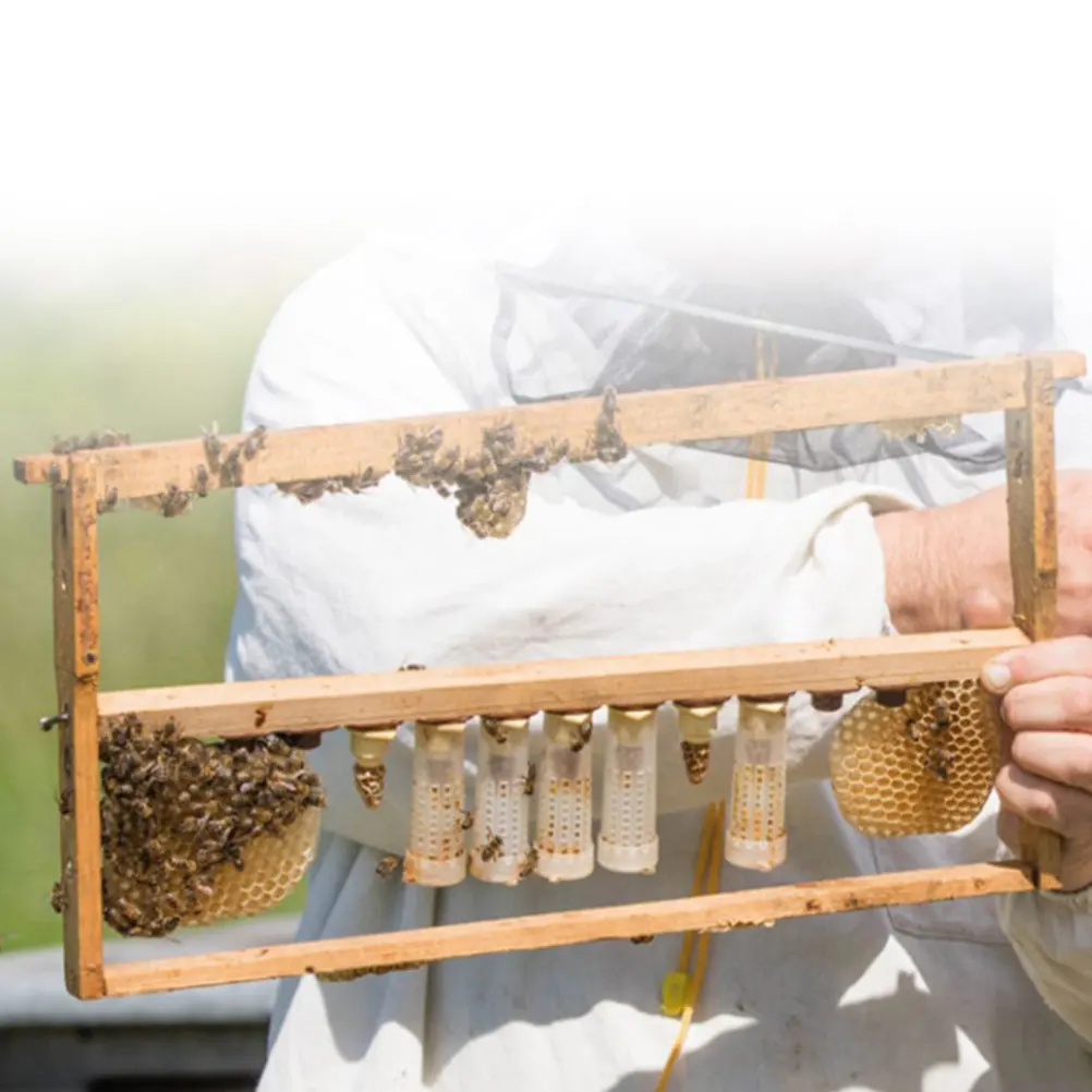 

20 pcs Anti-Bite Protection Cover Breeding Cage Hive Tool Safe Durable Plastic Beekeeping Supplies Convenient