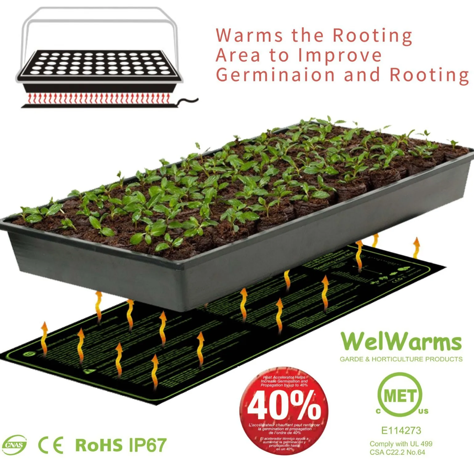 Plants, Flowers, Plants, Animals, Constant Temperature Heating Pad, Seed Germination, Seedling Growth, Waterproof