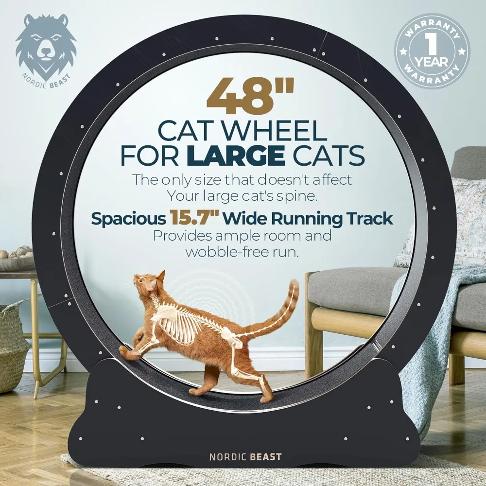 48'' Cat Exercise Wheel - Large Indoor Cat Treadmill - Paw & Claw Friendly, Silent, Sturdy, Easy Assembly - for Cats