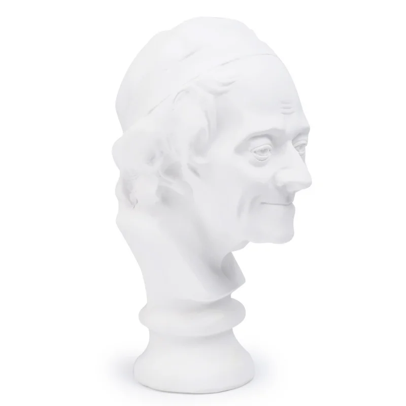 Resin Art Sketching Practice Plaster Statue Home Decoration Ornament Portrait of Voltaire