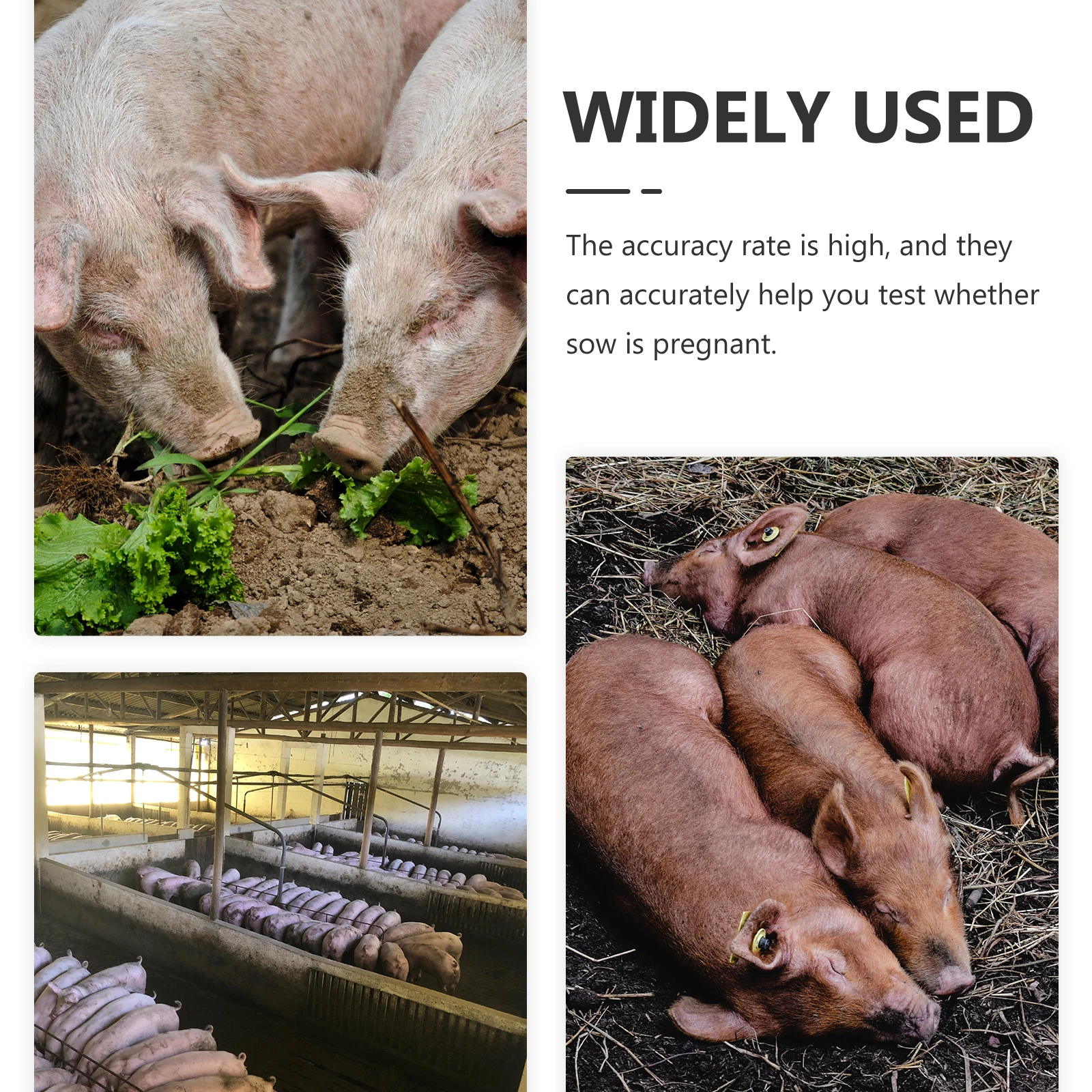 

1 Pregnancy Kit Sow Tester Strip High Accuracy Early Farm Pig Test Tube Detection Farm Pig Equipment Storage Supplies