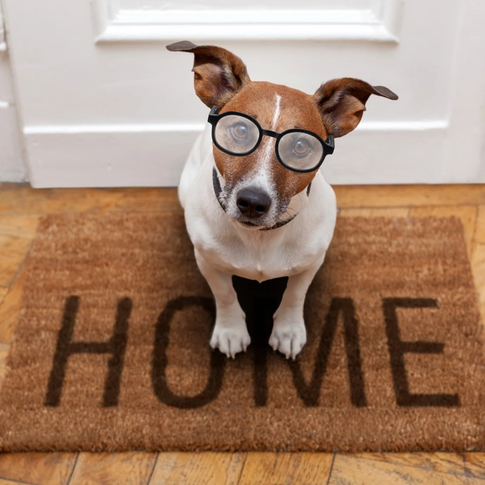 

2Pcs Pet Dog Glasses Fashion Lightweight Durable Plastic Eyewear Puppy Party Photo Accessories Dog Glasses Eyewear for Dogs