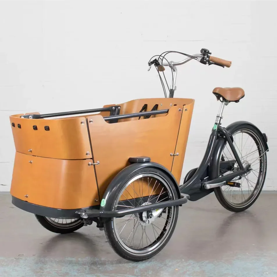 

High Quality Front Loading Box Bike Cargo Tricycle Electric Bike Baby Seat Food Trike 3 Wheel Family Cargo Bike