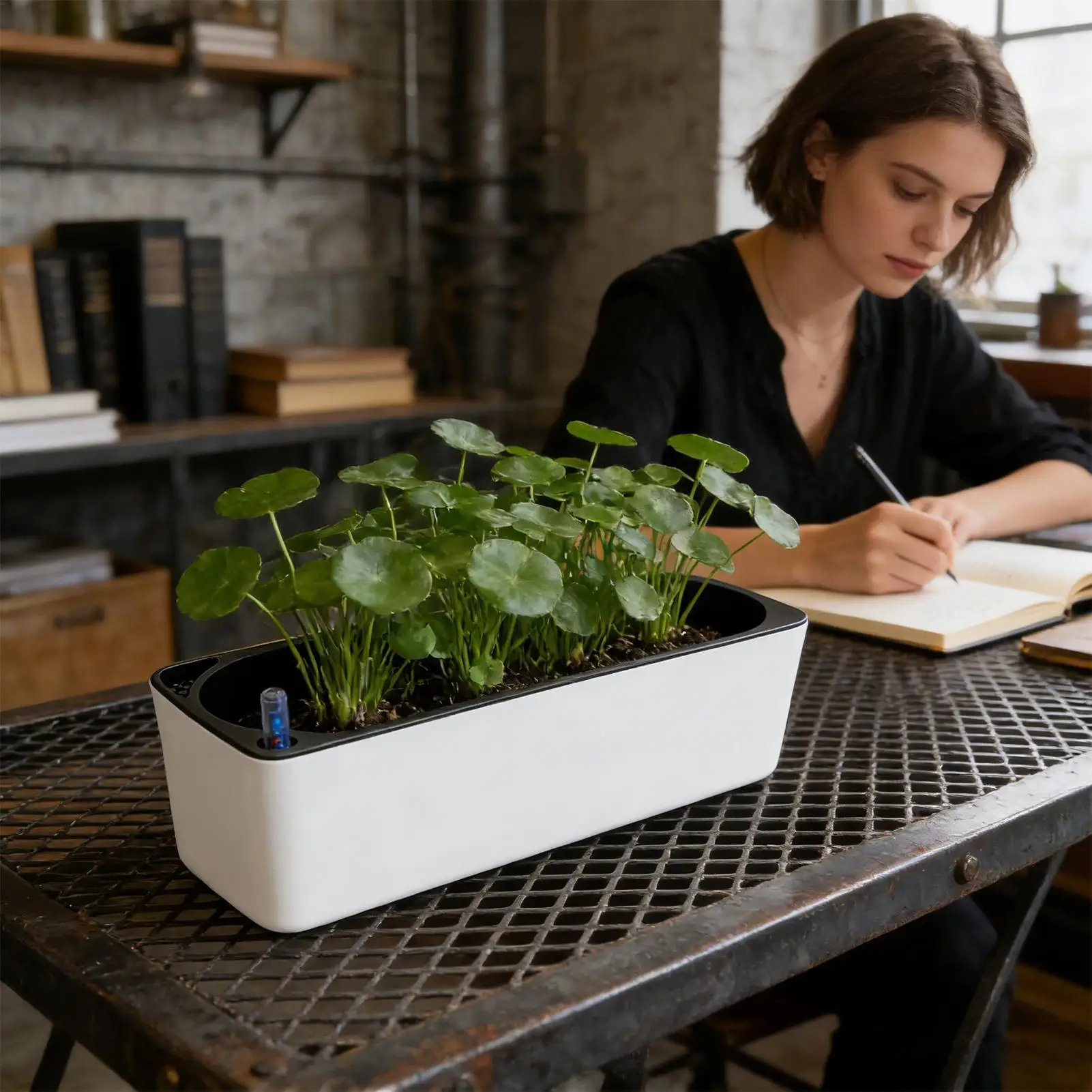 

Кашпо с автополивом и дышащим дном для цветов: для дома, гостиной, улицы, балкона, патио, подоконника