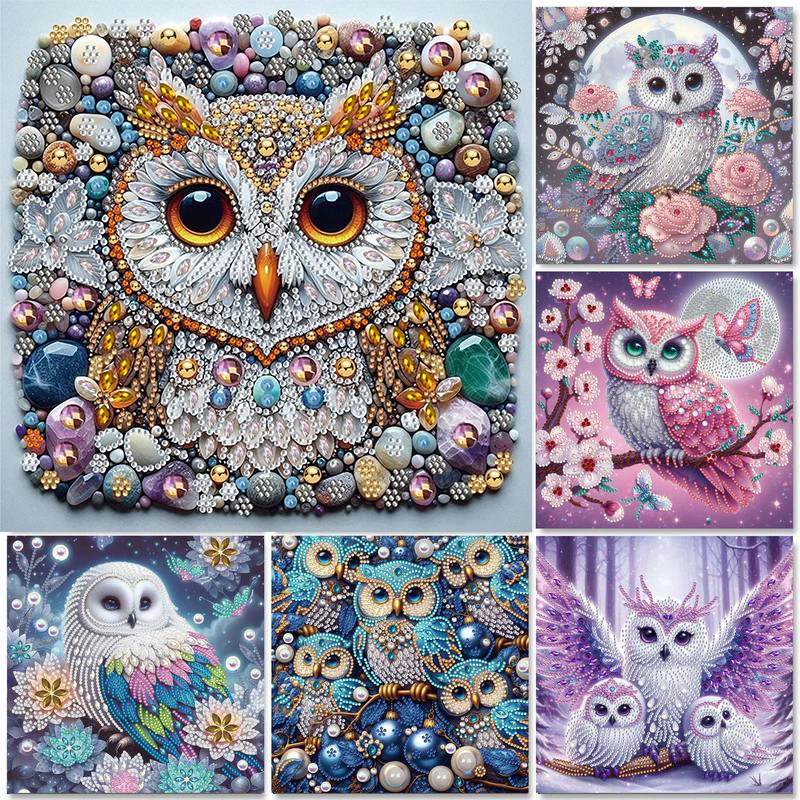 

30*30cm 5D DIY Partial Special Shaped Drill Diamond Painting Kit Owl Animal Decor Art Drill Diamond Embroidery Crafts Home Decor
