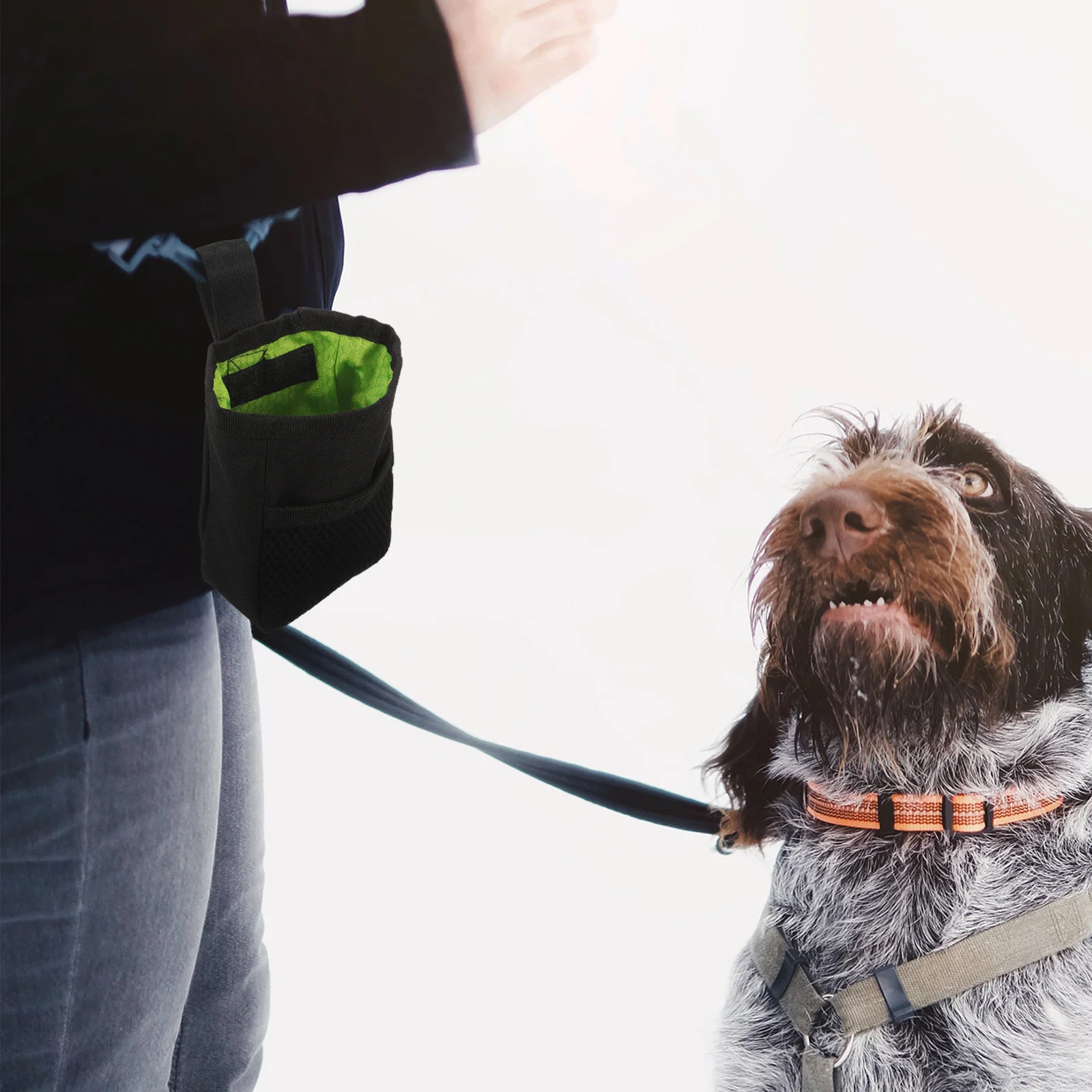 

Pet Treat Bag Outdoor Dog Snack Pouch Portable Training Holder For Puppy Food Storage Dog Walking Accessory