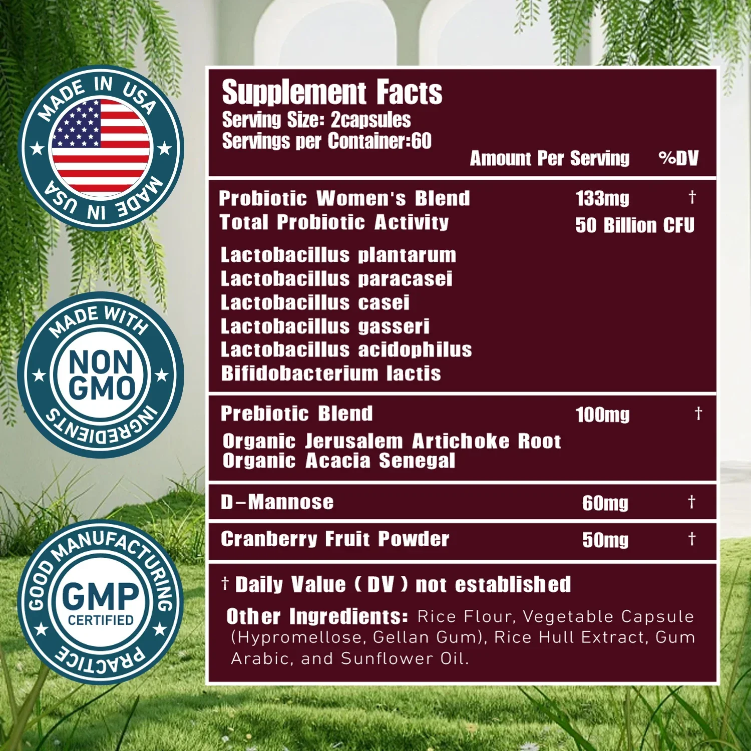 البروبيوتيك النسائي 50 مليار CFU - يدعم صحة الهضم والمعادن والمسالك البولية، ويخفف الانتفاخ #2