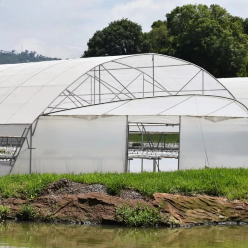 GT Spot Goods im Angebot Kostengünstiges kommerzielles Gewächshaus Landwirtschaftliches Tunnelgewächshaus für den Nahen Osten