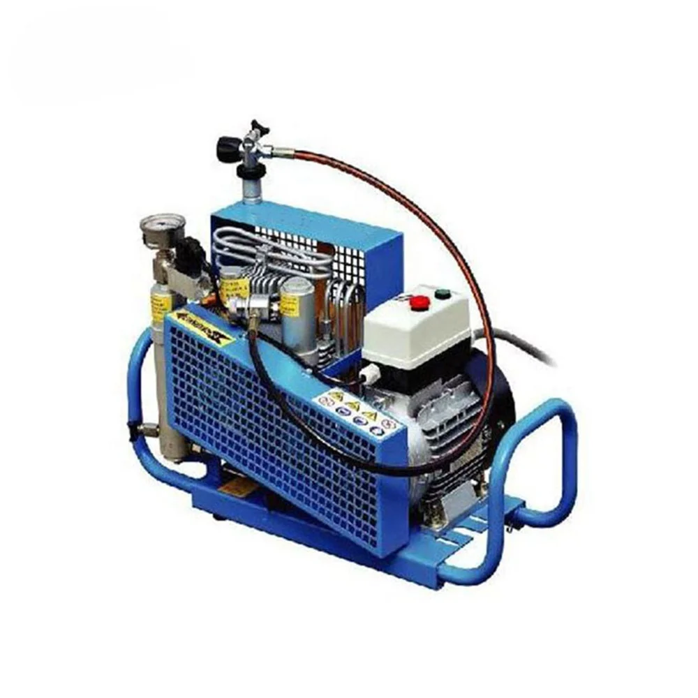 Air Breathing Compressors Mini Compressor 220v/380v Portable Electric Air Breathing Compressor