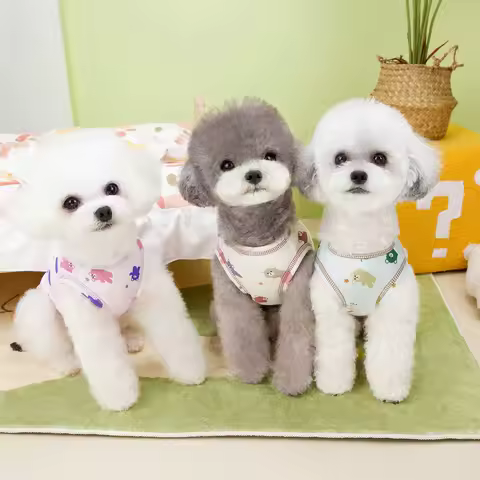 Cute Bear Full Print T-shirt Summer Dog Sleeveless Vest Teddy Yorkshire Two Legs Clothes Puppy Pullover Sweatshirt XS-XL