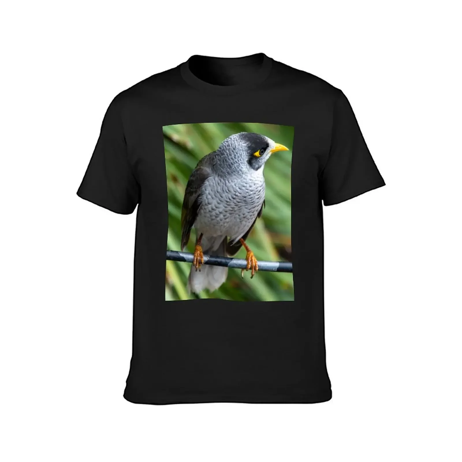 Noisy Miner Australian Bird T-Shirt man clothes cheap stuff vintage t shirts cute clothes men clothings