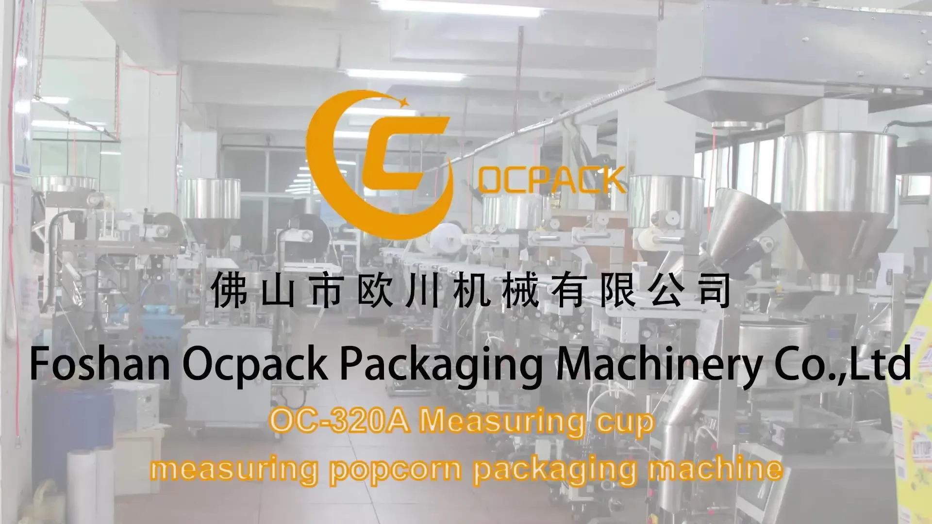 Easy to Operate Dry Fruit Cashew Nut Granule Snack Sachet Packing Machine Price