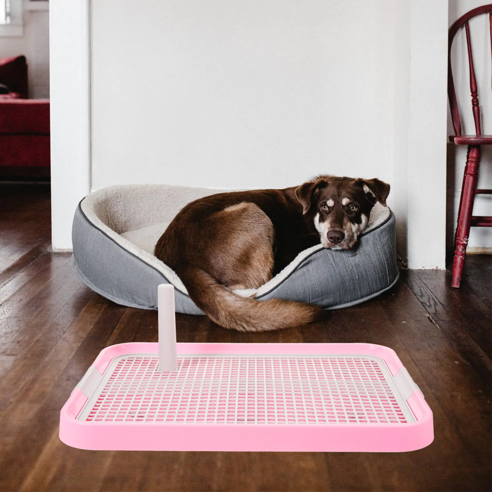 

2-in-1 Detachable Grid Puppy Toilet for Small Medium Dogs Indoor Dog Potty Training Tray Plastic Mesh Pet Toilet Anti-Slip Dog