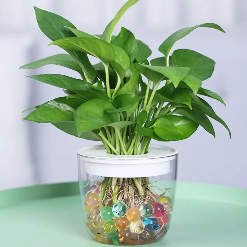 Low Maintenance Flowerpot Transparent Self-watering Flowerpot Leakproof Thickened Hydroponic Plant Pot Decorative Window Garden