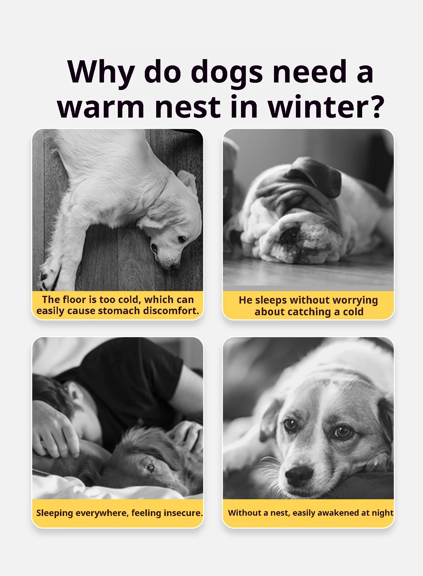 Großes Hundehaus, Winter, warm, isoliert, für den Außenbereich, für extra große Hunde, wetterfest, beheizter Haustierschutz mit abnehmbarem Dach – Detail 4