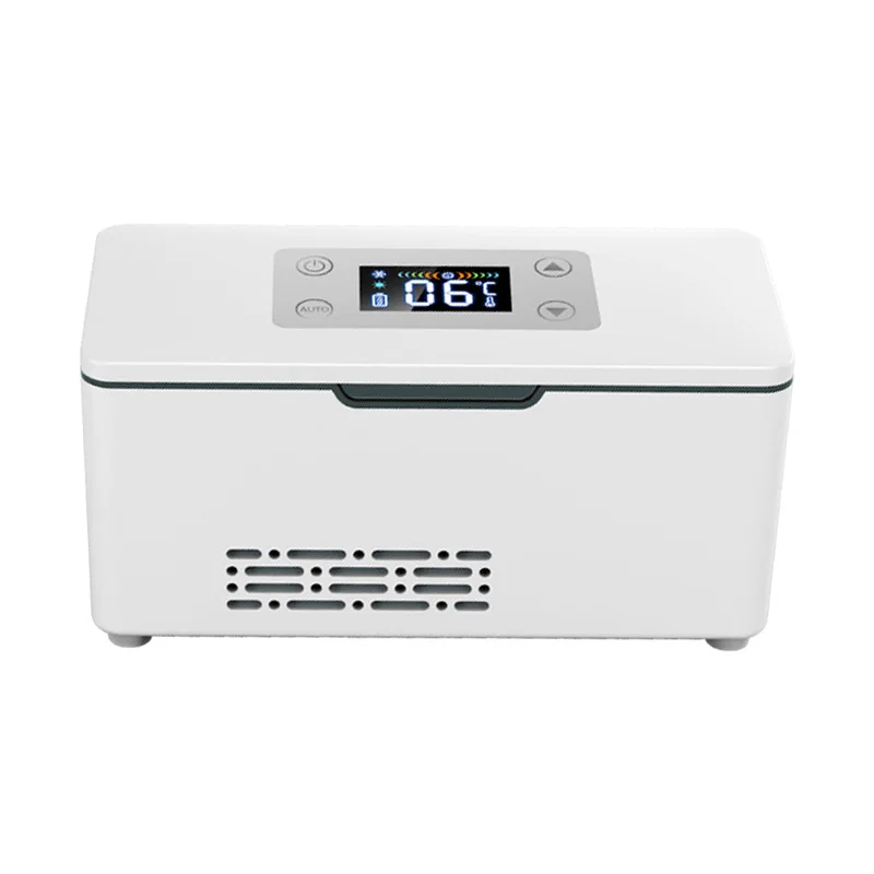 Mini refrigerador de viaje para exteriores, estuche organizador de medicamentos, refrigerador de insulina con refrigerador termostático y batería