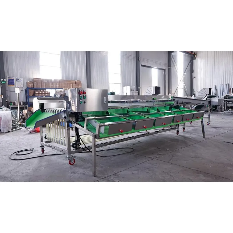 Size Sorting Machine Fruit Sorting Machine Conveyor Belt Round Fruit Sorting Machine