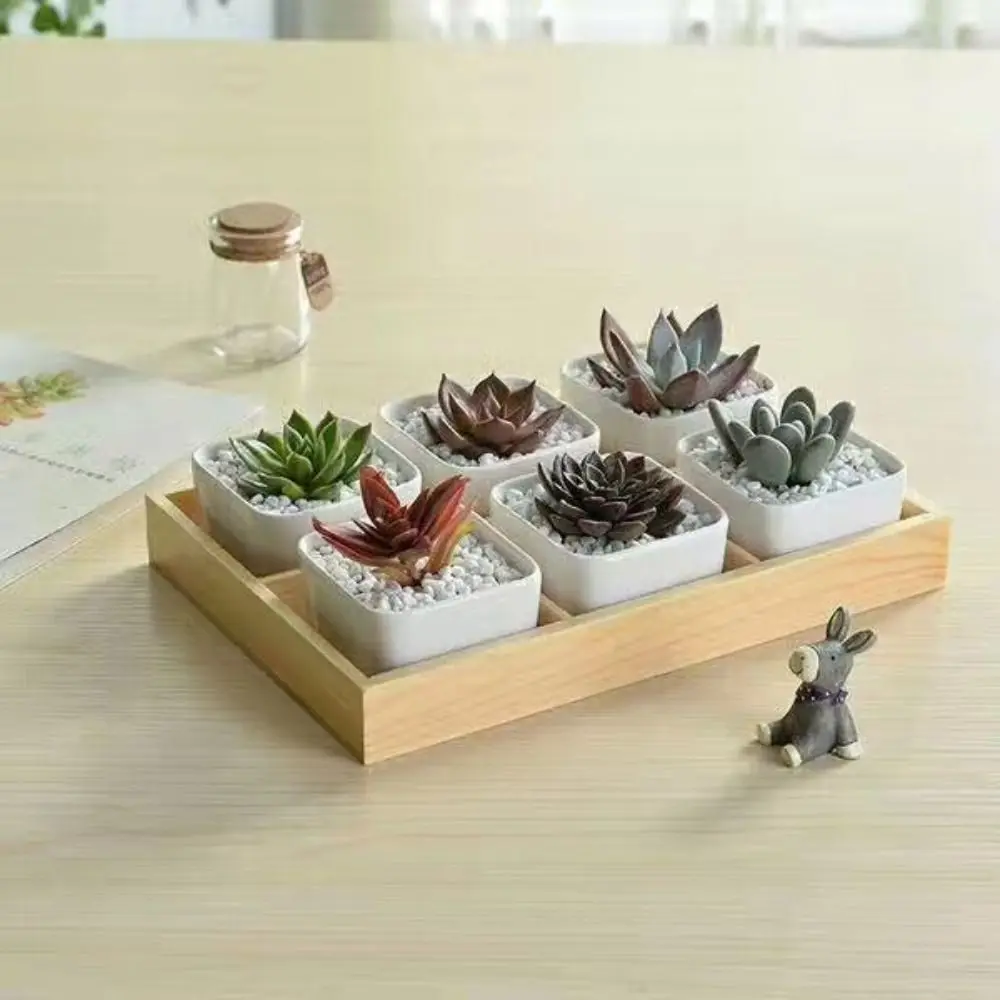 Multifunctional Succulent Flowerpot Tray Multi-grids Wood Storage Box Cosmetic Tool Storage Jewelry Display Pallet Bonsai Holder